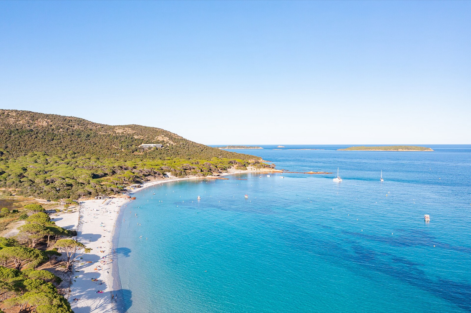 Plage de Palombaggia, plage en Corse-du-Sud